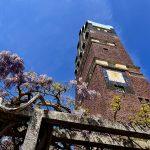 La torre nuziale. Foto: Darmstadt Marketing, Anna Schütz