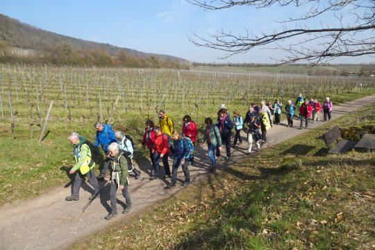 On the way near Deidesheim. Photo: OWK