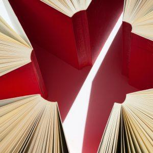 Czytaj książki literatura