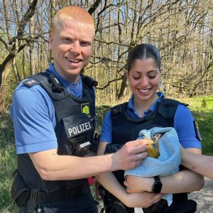Des singes-écureuils en compagnie de policiers. Photo : Police de Darmstadt