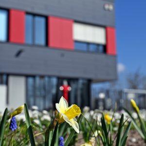 Foto: Pressestelle Groß Gerau