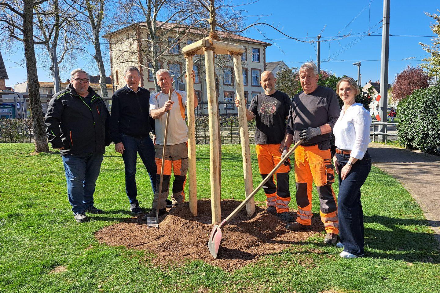 Planting friendship tree in Griesheim Photo: Stadt-Griesheim