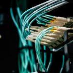 Fibre