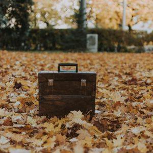 Valise
