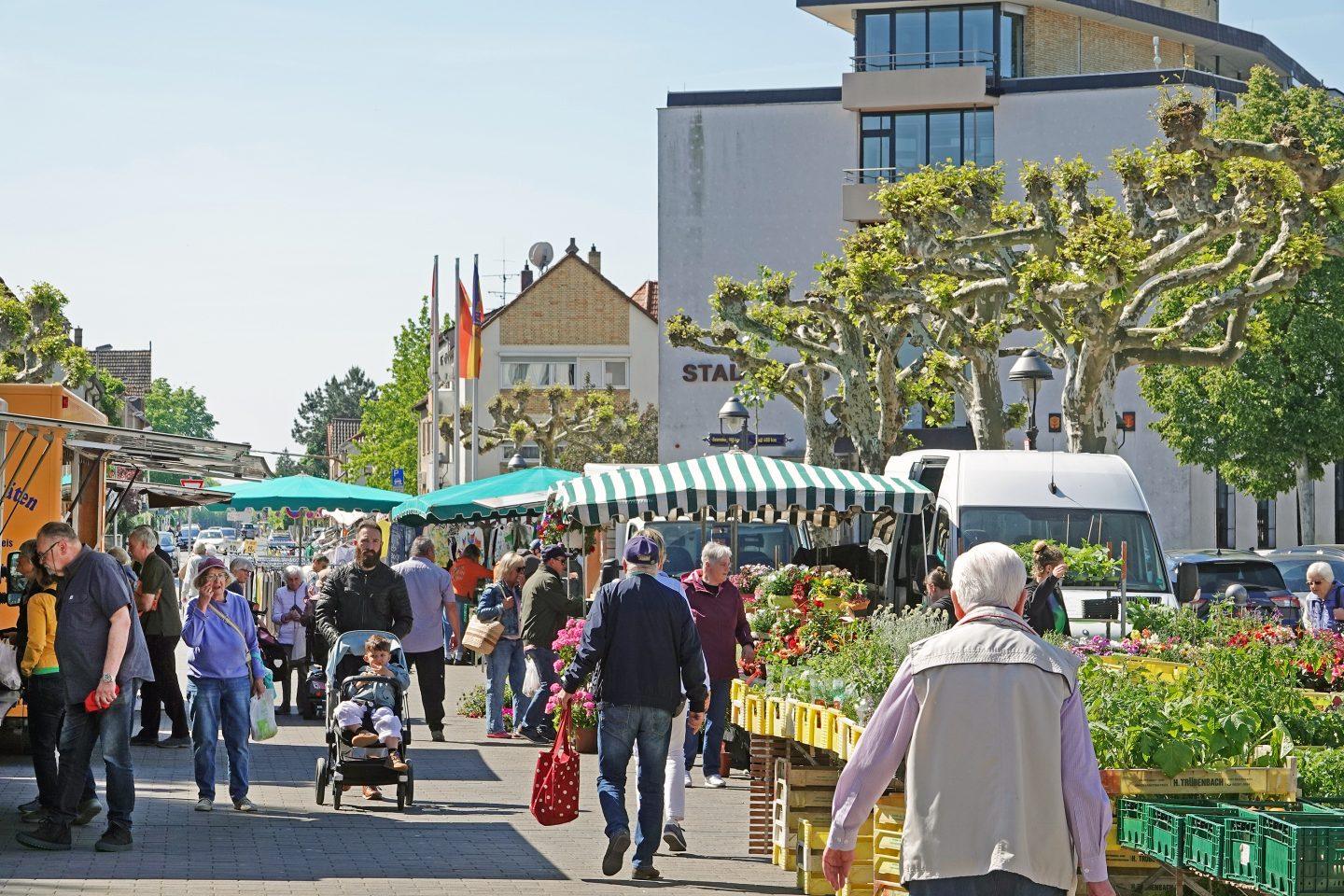 Image Copyright: District City of Groß-Gerau/Gerd Keim