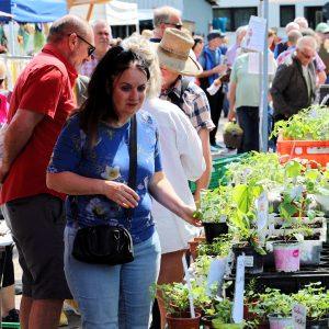 Les plantes figureront à nouveau parmi les produits variés proposés au marché bio, comme l'an dernier. (Photo d'archives : Ville de Riedstadt)