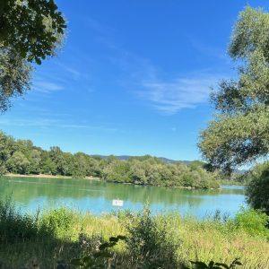 Jezioro Erlensee w pobliżu Bickenbach to idylliczne miejsce na odpoczynek, zwłaszcza latem. Zdjęcie: Markus Hennemann