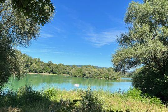 The Erlensee near Bickenbach is an idyllic place to linger especially in summer. Image: Markus Hennemann