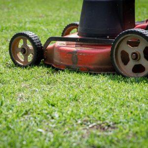 Mähen Gras Rasenmäher