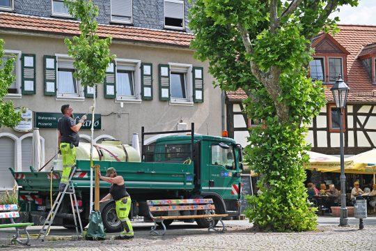 Kreisstadt Groß-Gerau/Gerd Keim