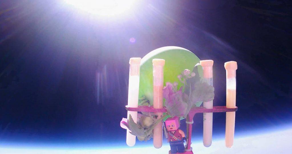 Mit einem Stratosphärenballon schickten Schülerinnen des Starkenburg-Gymnasiums verschiedene Flüssigkeiten, eine Blume und eine Spielfigur in einem Versuchsaufbau in die Erdatmosphäre.