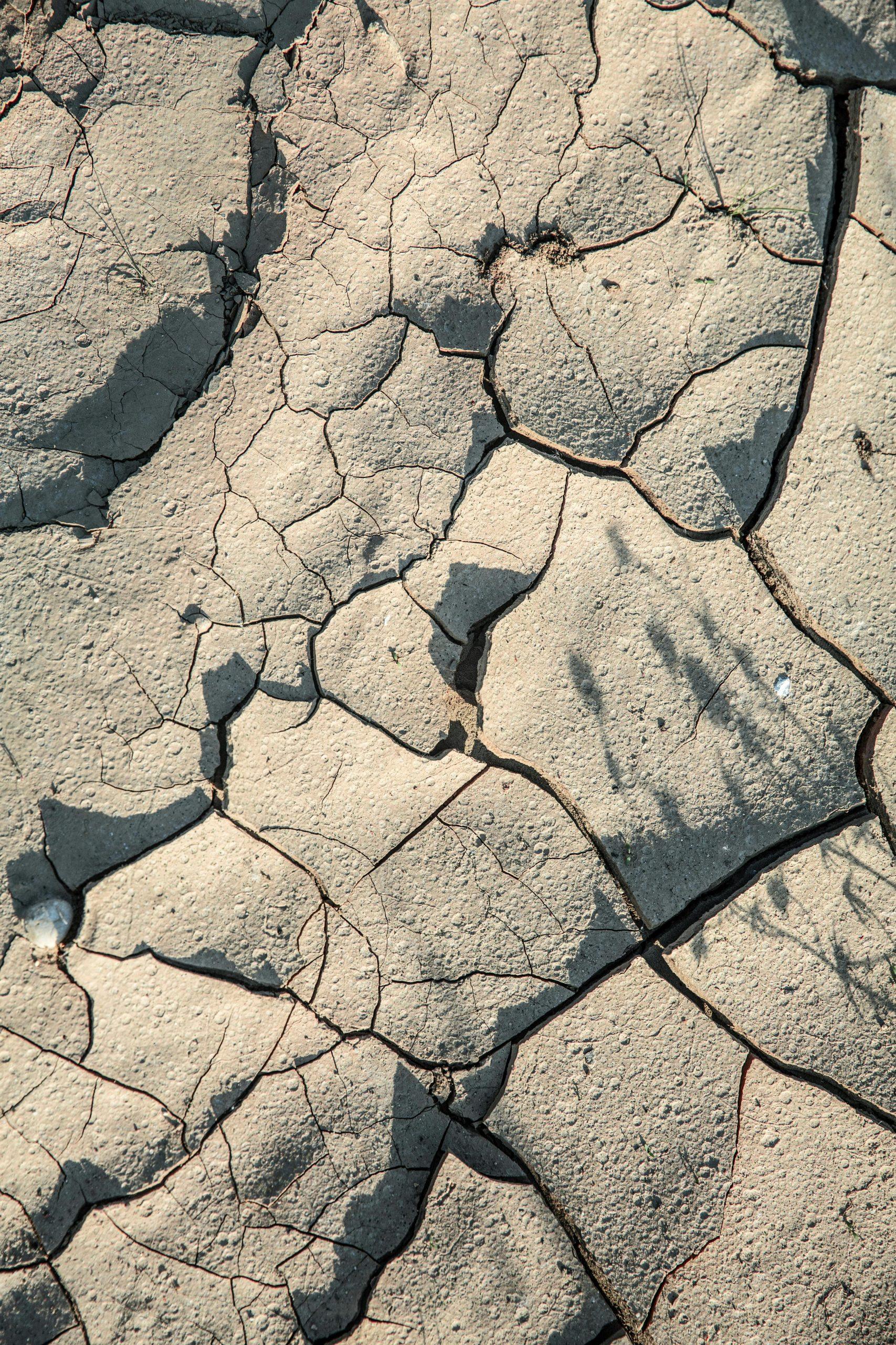 Trockenheit