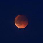 Lunar eclipse, September 7, 2025, photographed at Darmstadt&#39;s Oberfeld. Photo: Arthur Schönbein