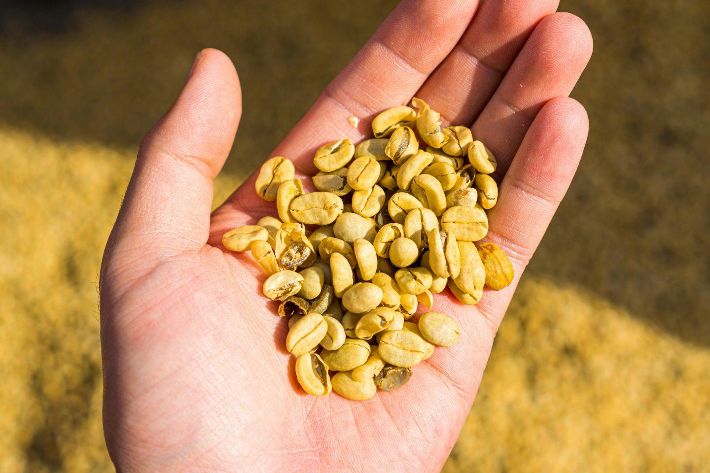 Caffè del commercio equo e solidale