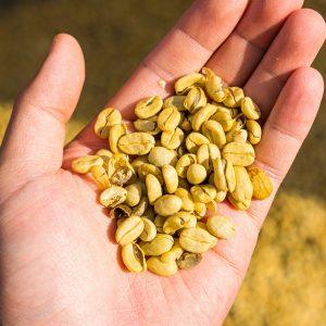 Caffè del commercio equo e solidale
