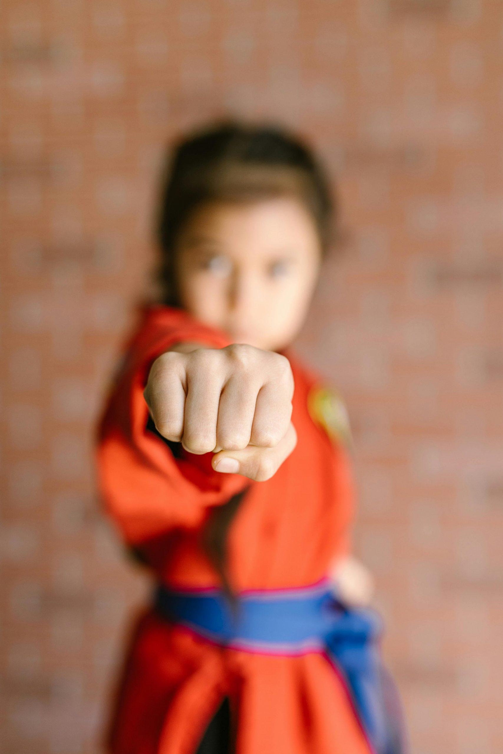 Wendo Judo Kampfsport