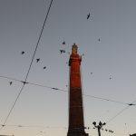 Luisenplatz, Langer Ludwig. Fotoğraf: Arthur Schönbein