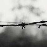 Resistencia atrapada en alambre de púas