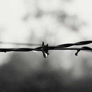 Stacheldraht gefangen Widerstand