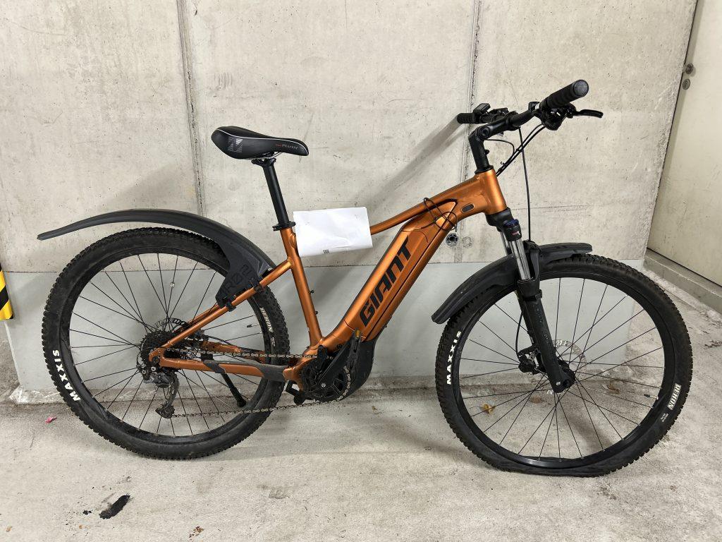 GIANT Pedelec Bild: PPSH