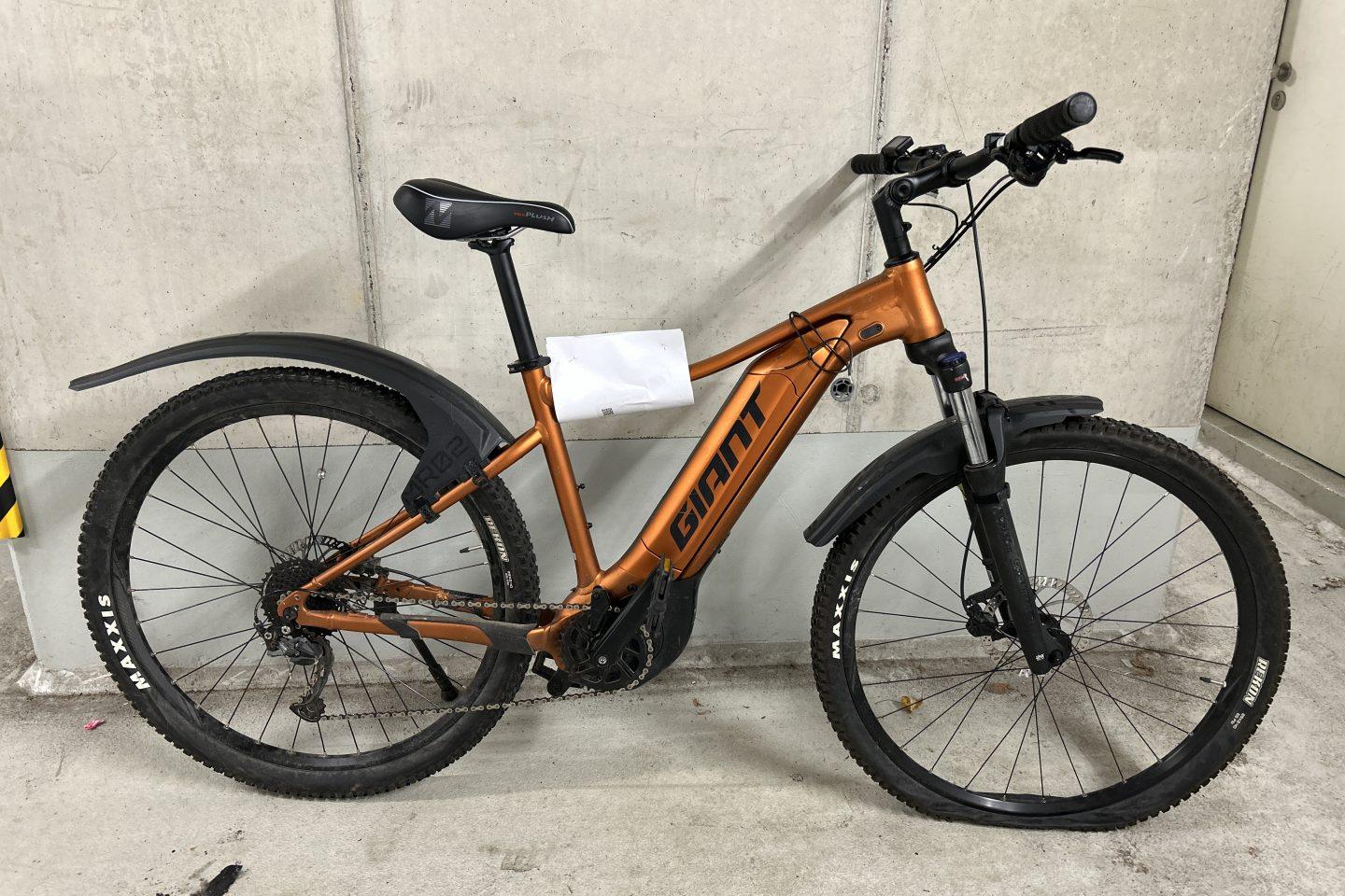 GIANT Pedelec Bild: PPSH