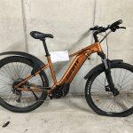 GIANT Pedelec Bild: PPSH