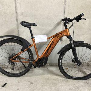 GIANT Pedelec Bild: PPSH