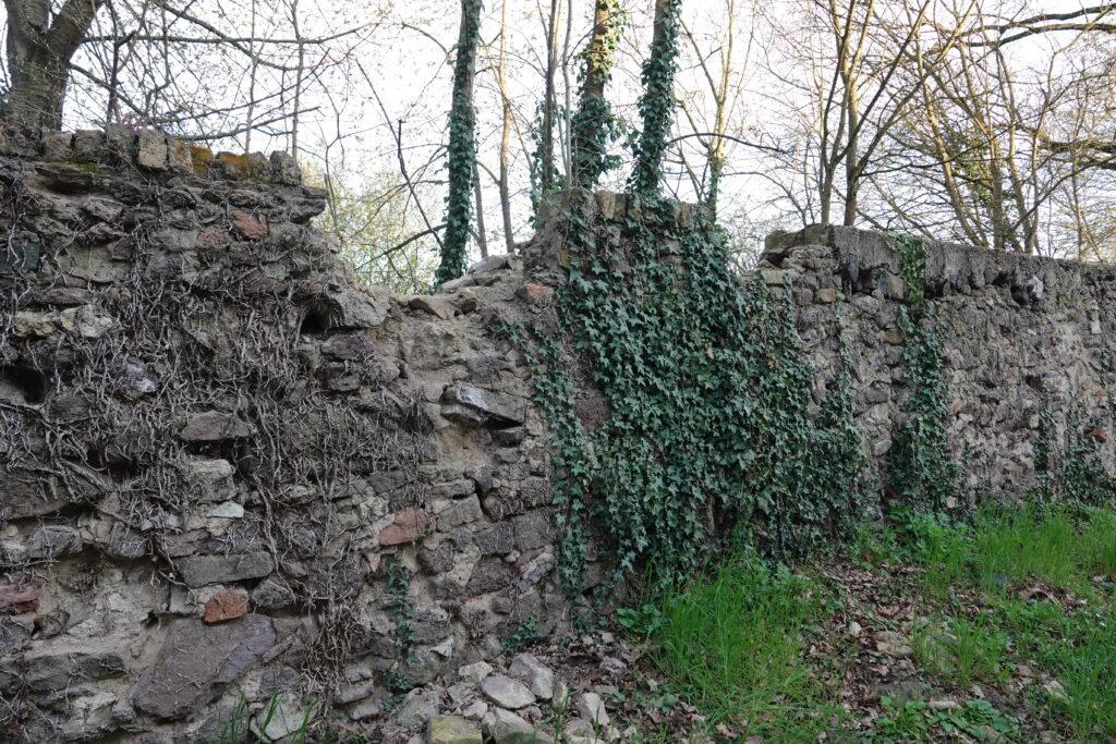 Des pierres se sont détachées du haut du mur d'enceinte de la faisanderie. Par mesure de précaution, la commune de Groß-Gerau a donc fermé le chemin extérieur qui longe la faisanderie entre les rues Wilhelm-Hammann-Straße et Brunecker Straße. Photo : Groß-Gerau/Jörg Monzheimer