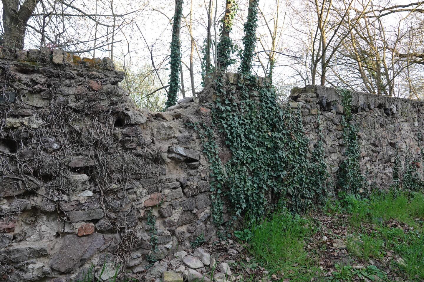 Des pierres se sont détachées du haut du mur d'enceinte de la faisanderie. Par mesure de précaution, la commune de Groß-Gerau a donc fermé le chemin extérieur qui longe la faisanderie entre les rues Wilhelm-Hammann-Straße et Brunecker Straße. Photo : Groß-Gerau/Jörg Monzheimer