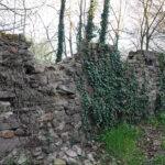 An der Mauerkrone der Fasanerieumrandung haben sich Steine gelöst. Die Stadt Groß-Gerau hat daher den äußeren Weg um die Fasanerie zwischen Wilhelm-Hammann-Straße und Brunecker Straße vorsorglich gesperrt. Foto: Kreisstadt Groß-Gerau/Jörg Monzheimer
