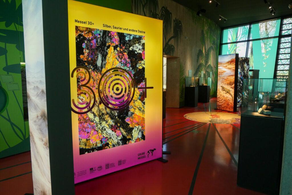 Veduta della mostra "Messel 30+". Foto: Sito Patrimonio dell'Umanità della Fossa di Messel, Wencker