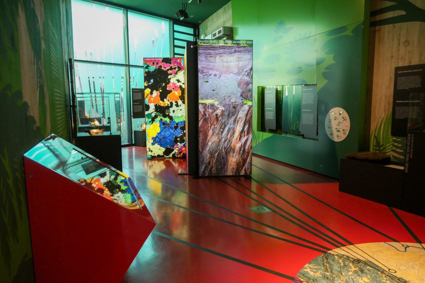 Vista de la exposición «Messel 30+». Foto: Sitio Patrimonio de la Humanidad de la Fosa de Messel, Wencker