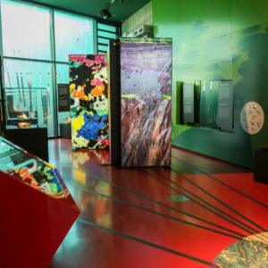 Exhibition view »Messel 30+«. Photo: Messel Pit World Heritage Site, Wencker