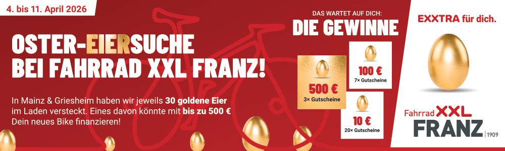 Fahrrad XXL Franz