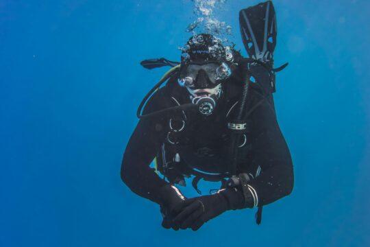 Dalgıçlar dalış yapıyor