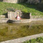 Water basin in Goldschmidt Park in Seeheim