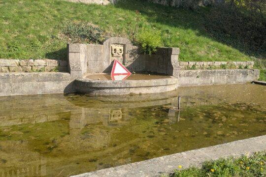Bacino idrico nel parco Goldschmidt a Seeheim