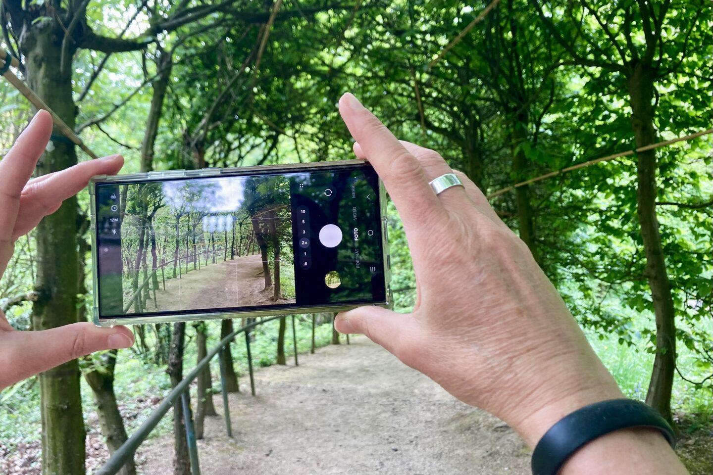 Ruta fotográfica inteligente alrededor del castillo de Heiligenberg