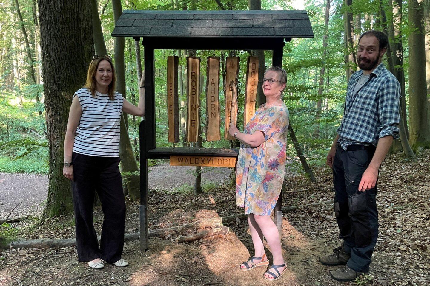 Forest xylophone, fairytale ponds, Seeheim-Jugenheim