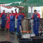 Griesheim Wine Press Market