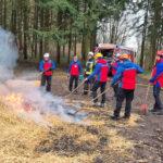 Einsatzkräfte der DRK Bergwacht Darmstadt-Dieburg unterstützen die Feuerwehr bei einem Waldbrand.