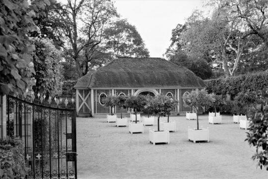Prens George Bahçesi, 2022, Darmstadt, Andreas Neuhann