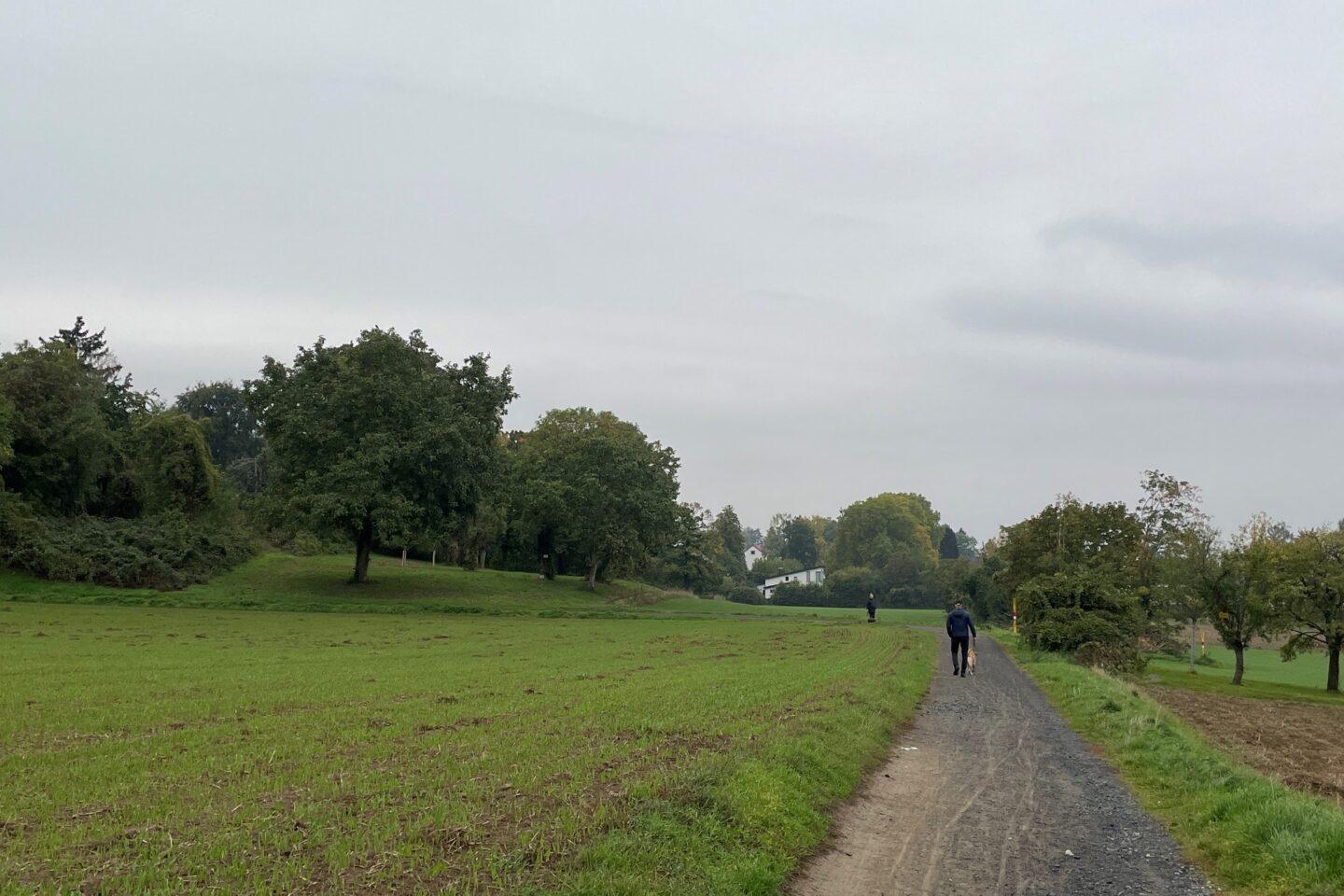 تجديد الطريق Seeheim Jugenheim