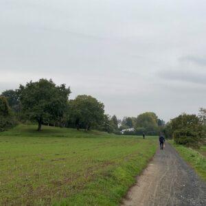 Ремонт дороги Seeheim Jugenheim