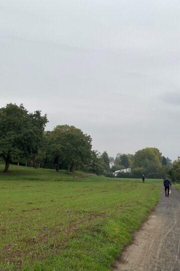 Ремонт дороги Seeheim Jugenheim